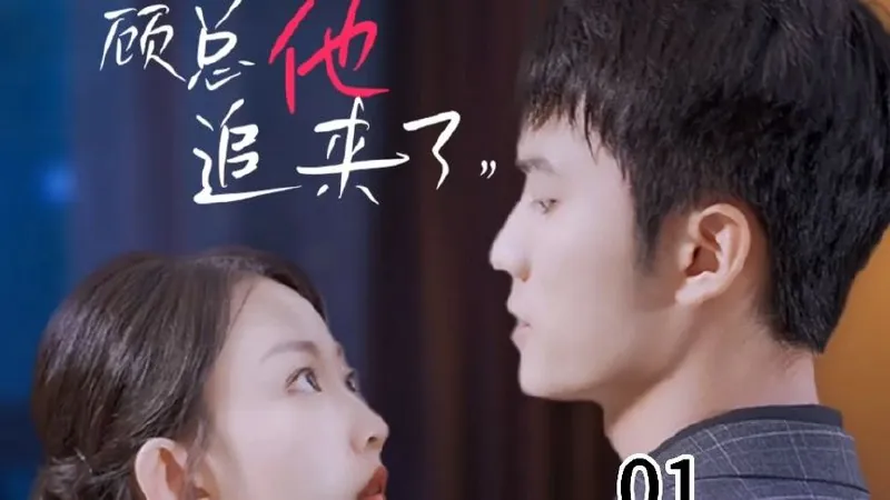 顾总追婚，夫人哪里跑