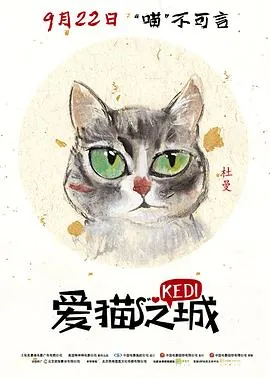 爱猫之城Kedi
