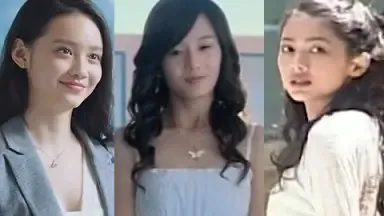 完美妻子