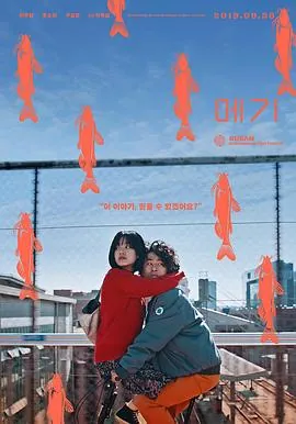 鲶鱼美琪메기