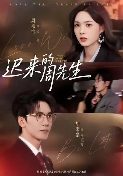 迟来的周先生（2025）