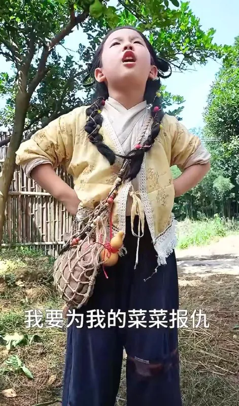 萌宝五岁半练气无敌震京圈