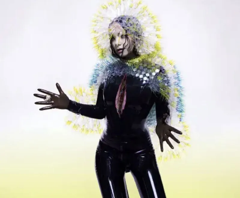 Björk-2015年专辑-Vulnicura
