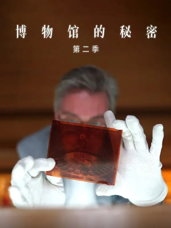 博物馆的秘密第二季