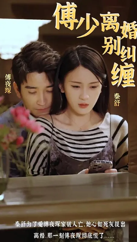 傅少离婚别纠缠