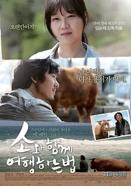 和牛一起旅行的方法소와함께여행하는법