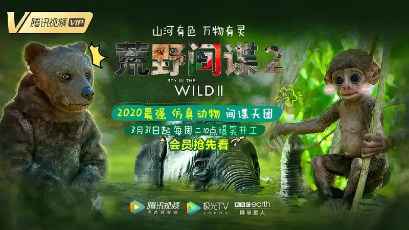 荒野间谍第二季