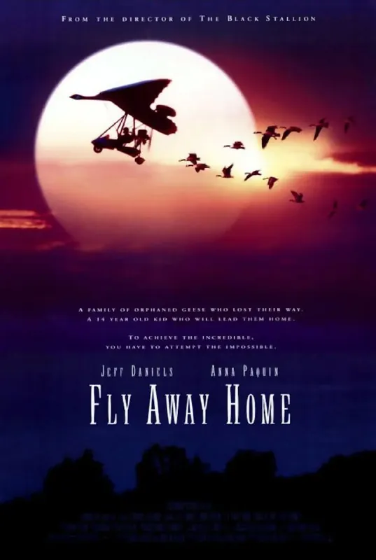 伴你高飞FlyAwayHome