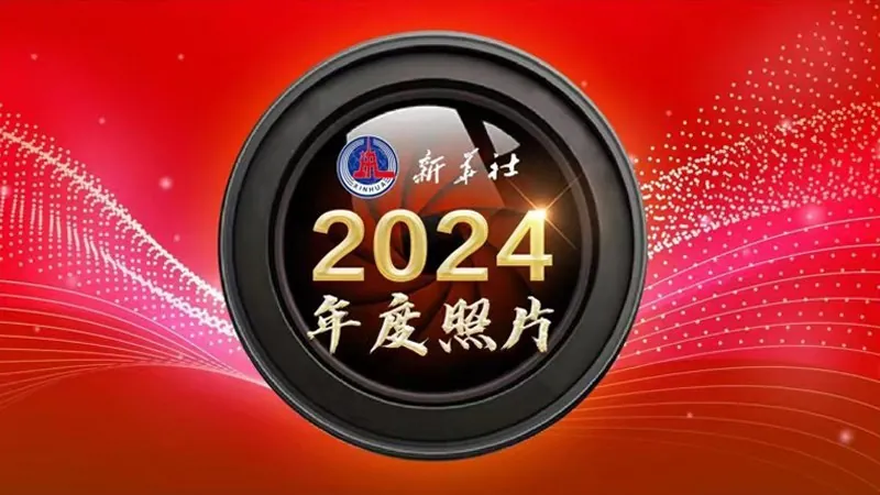 圆（2024）