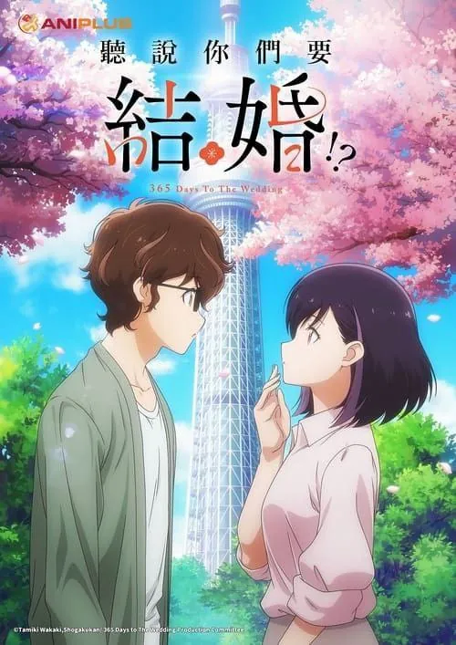 真的要结婚吗（2024）