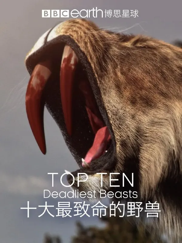 十大致命的捕食者TopTenDeadliestBeasts