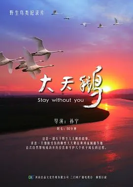 大天鹅-2017年纪录片