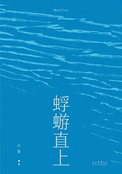 蜉蝣直上
