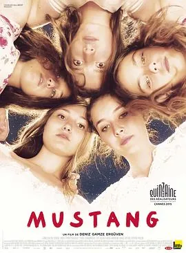 野马Mustang