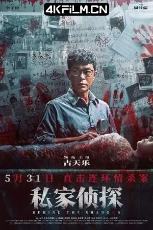 私家侦探/尾随