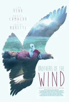 追鹰日记BrothersoftheWind
