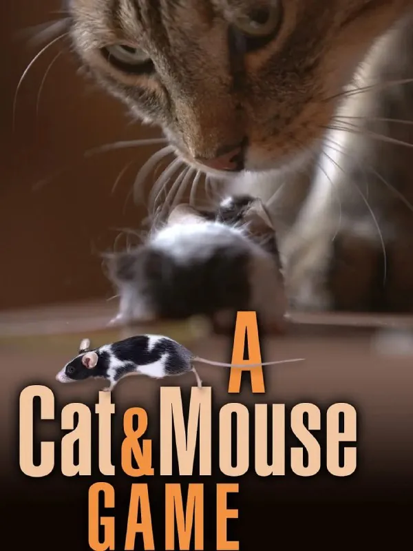 猫鼠游戏ACatandMouseGame