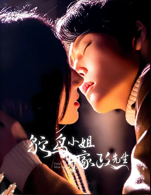 鸵鸟小姐与家政先生
