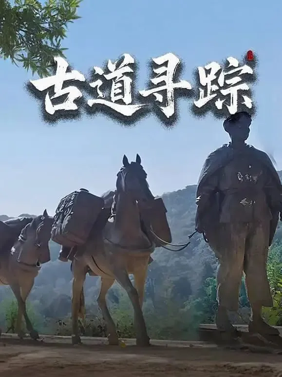 古道寻踪（2025）